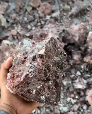 black salt for wholesaler